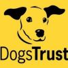 Dogs Trust workshop